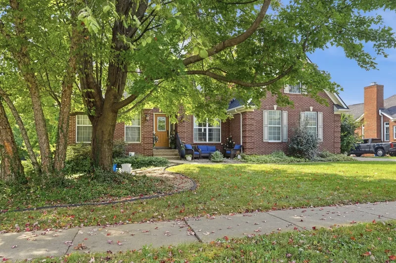 Front yard under the trees